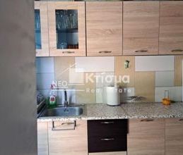 Μονοκατοικία για ενοικίαση - Πύργος, - Φωτογραφία 2