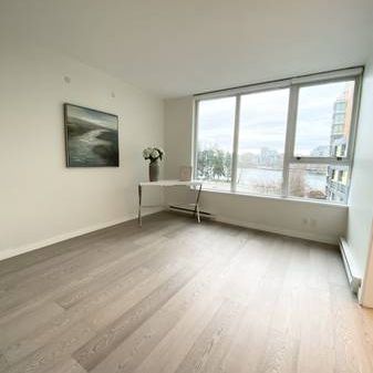 Downtown Newly Renovated Water View 2Bedroom2Bathroom+1Den apartment f - Photo 4