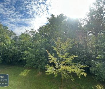 Appartement à louer 1 pièce 32.16m² - Photo 4