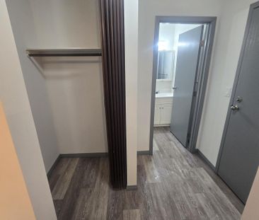 Beautifully Renovated Ground Floor One Bedroom on South Hill - Photo 3