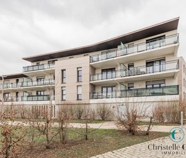 Appartement - LINGOLSHEIM - 41m² - 1 chambre - Photo 4