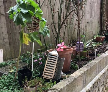 2 Bed Flat, Elmwood Road, CR0 - Photo 3