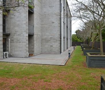 Modern City Living in St Marys Complex - Photo 5