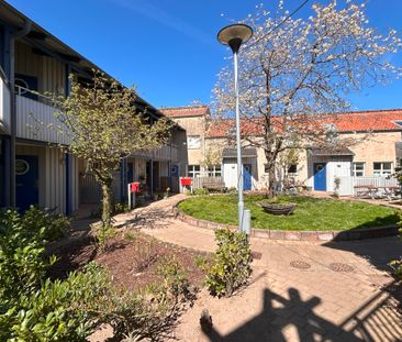 Krukmakaregatan, Simrishamn - Foto 1