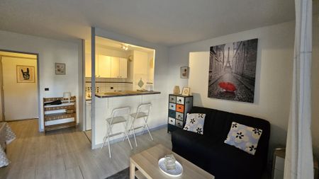 Location Appartement 1 pièce 28m² FONTAINEBLEAU 77300 - Photo 2