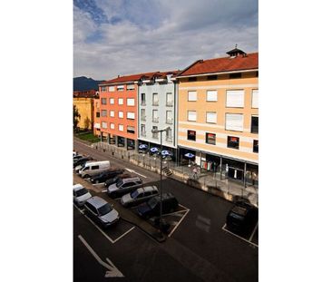 Cervo 2 - Photo 1