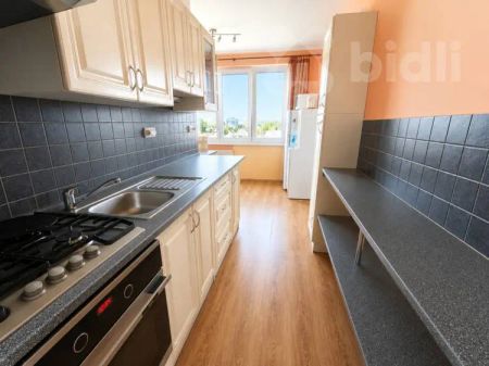 Pronájem bytu 3+1 s lodžií, 69 m - Fotografie 2