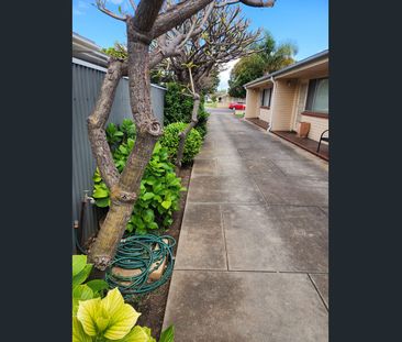 Gorgeous, two-bedroom unit available now! ALL enquiries via email o... - Photo 4