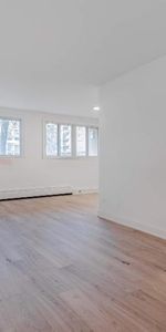 1 CH - 1 SDB - St-Laurent - $1,495 /mo - Photo 4