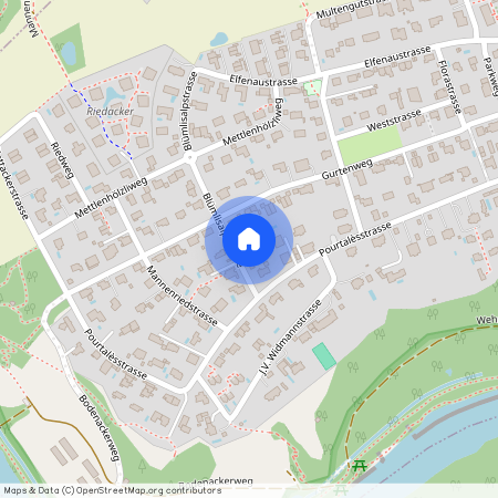 3074, Muri, Blümlisalpstrasse, 4