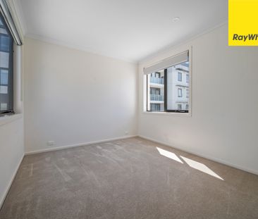 52 Bowman Street, Macquarie ACT 2614 - Townhouse For Rent | Domain - Photo 4