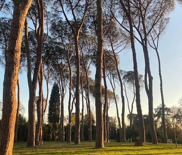 Via Cassia, Rome, Lazio 00189 - Photo 2
