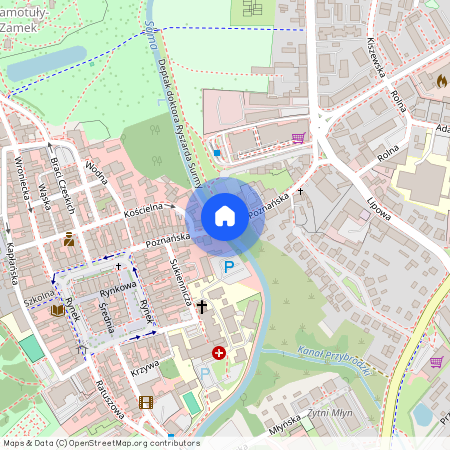ul. Poznańska, Szamotuły, Szamotuły, szamotulski, wielkopolskie
