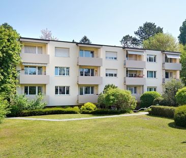 "Komfort für Singles" - Foto 3