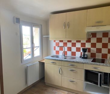 Location Appartement 1 pièce 25m² IGNY 91430 - Photo 3