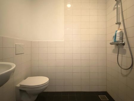 Te huur: Appartement Diepenveenseweg in Deventer - Foto 2