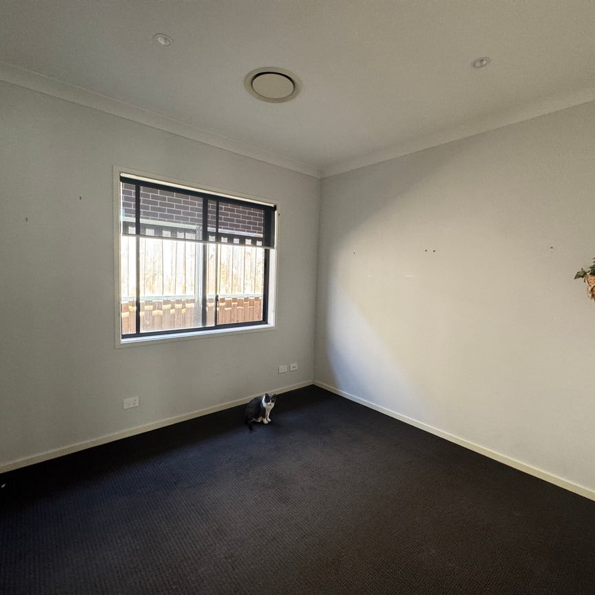 Schofields - Photo 2