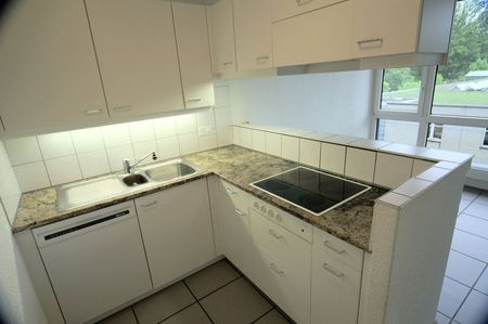 Duplex-Wohnung nähe Rosengarten - Photo 4