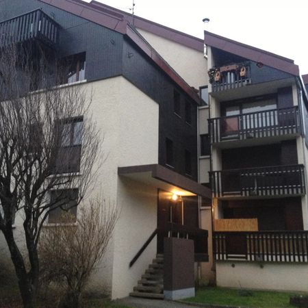 Location Appartement 1 pièce 30m² SALLANCHES 74700 - Photo 3