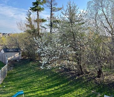 For Lease - 38 Kimberly Court Unit# Basement, Richmond Hill, Ontario - Photo 5