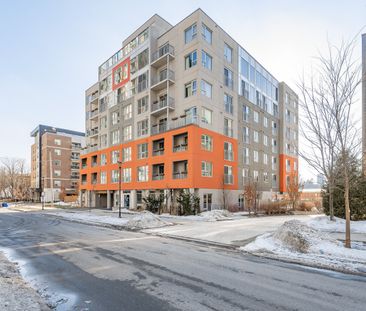 For Lease - 321 Spruce Street Unit# 207, Waterloo, Ontario - Photo 2
