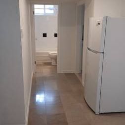 1 BR+Den in Basement - Photo 4