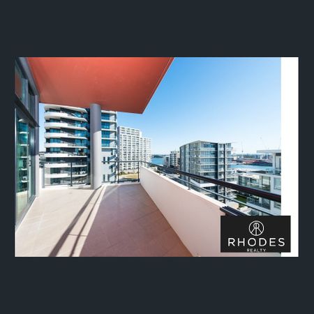 MASSIVE 3 Bedroom + Study Penthouse with Huge Outdoor Entertainment Area - Photo 4