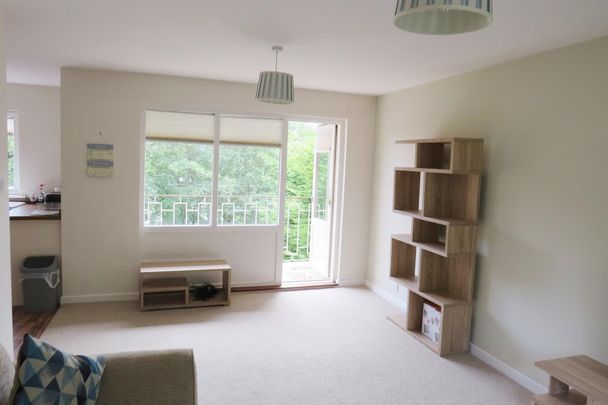 Brunswick Drive - Photo 1