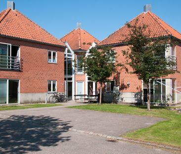 Persillegade, 6200, Aabenraa - Foto 3