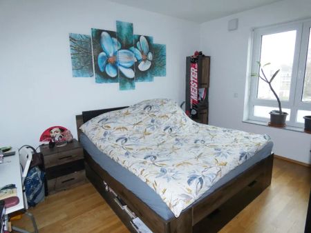 Moderne 2-Zimmer-Wohnung mit großer Sonnenloggia, Aufzug und Rheinblick - Photo 3