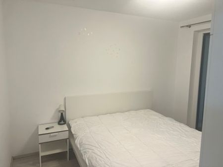 Csángó street - Fotó 5