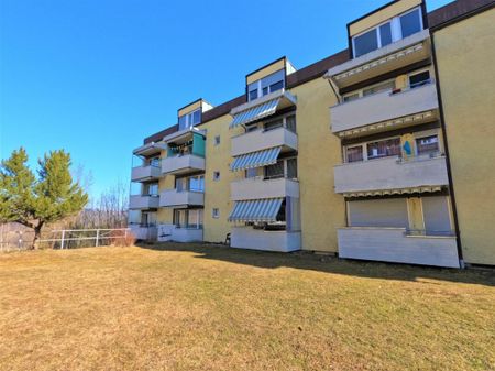 Singlewohnung zum guten Preis-Leistungs-Verhältnis in St. Gallen mit neuem Bad - Photo 5