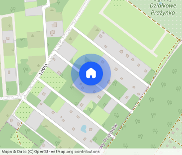 Całoroczny, drewniany dom na wynajem krótkoterminowy Nowy Prażmów - Фото 1