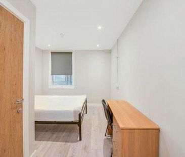 Flat share to rent - Photo 6