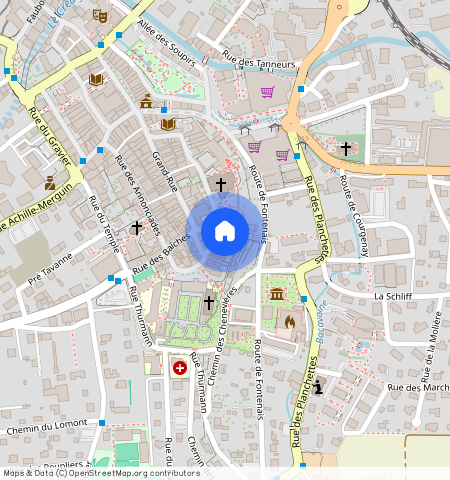 **, Rue du Collège, 2900 Porrentruy