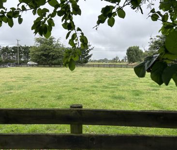 Lifestyle Property - Photo 4