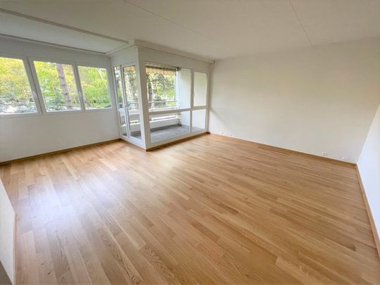 Gradelle - Au dessus du Parc des Eaux-Vives - Photo 1