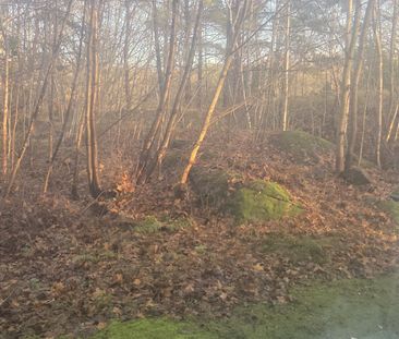 Väderilsgatan, Göteborg - Foto 6