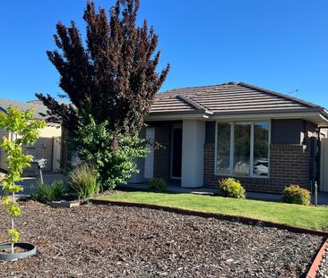 34 Wyatt Road, Direk SA 5110 - House For Rent | Domain - Photo 4