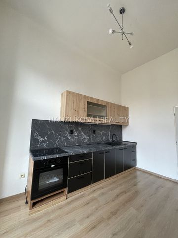 Pronájem bytu 1+1 49 m² - Photo 3