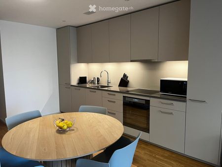 Moderne 2.5-Zimmer-Wohnung in Luzern ab sofort zu vermieten - Foto 3