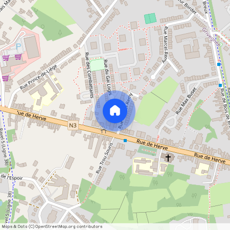 Rue Marcel Remy 1 /0051, 4030 Grivegnée