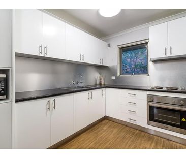 11/377 New Canterbury Road, Dulwich Hill NSW 2203 - House For Rent ... - Photo 4