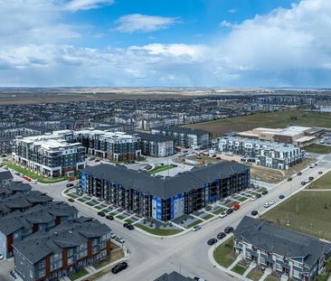 181 & 141 Skyview Bay NE, Calgary - Photo 6