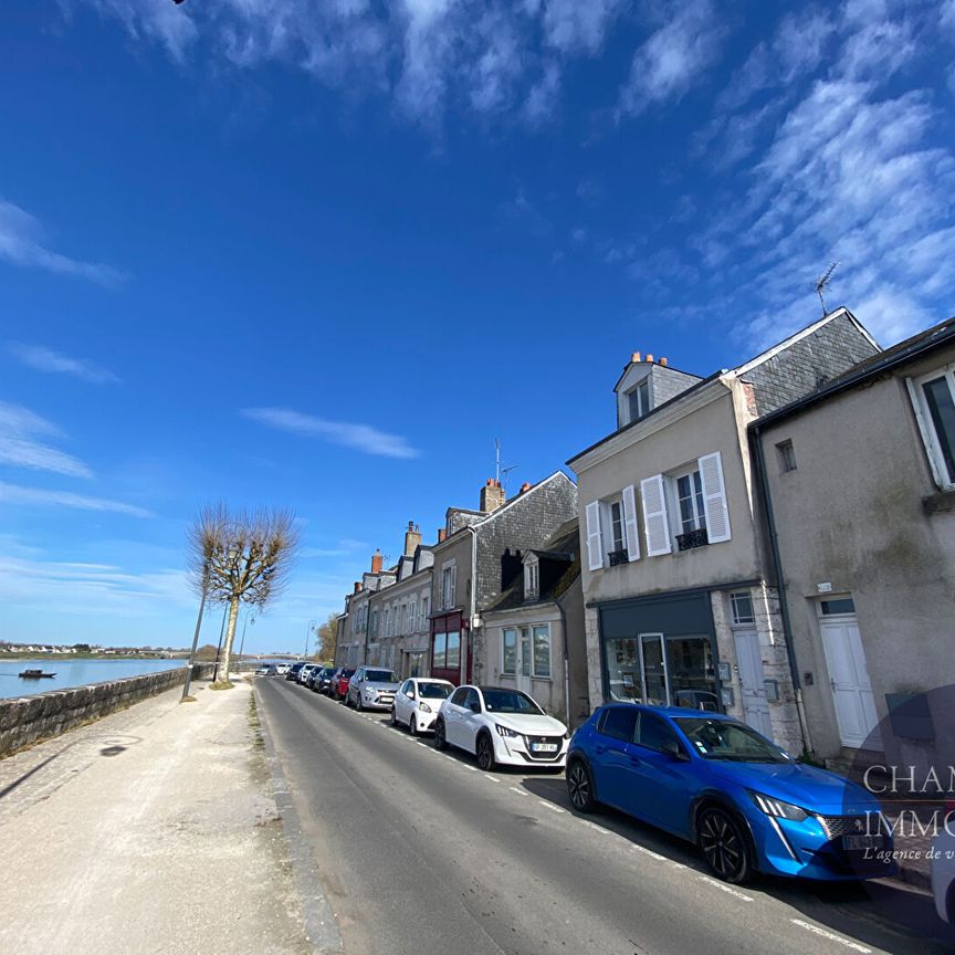 BLOIS - Centre-ville quartier Vienne - T2 - Photo 1