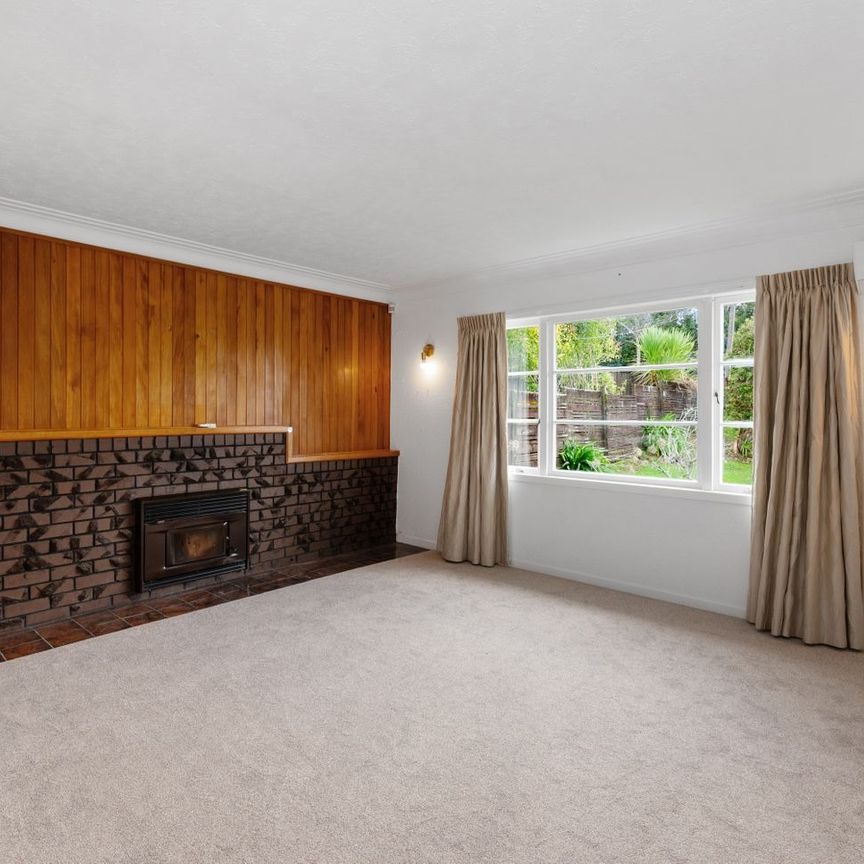 Sunny 3 bedroom family home in Glen Eden - Photo 1