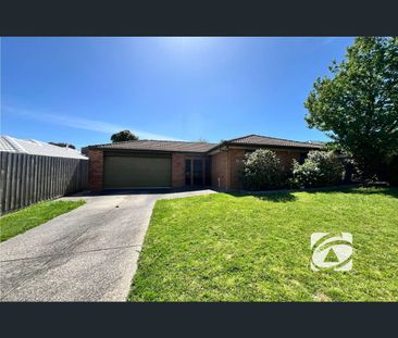 20 Heyington Circle, Narre Warren, Vic 3805 - Photo 6
