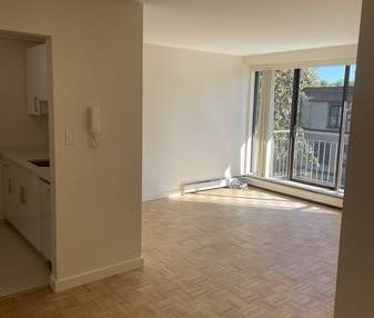 Newly Renovated Large One Bedroom (Vancouver) WITH PROMOTION!!! - Photo 3