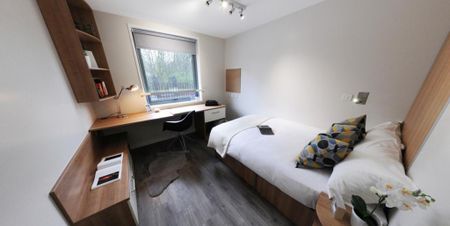 Flat share to rent - Photo 2