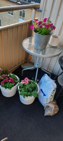 Östra Promenaden, Malmö - Foto 4